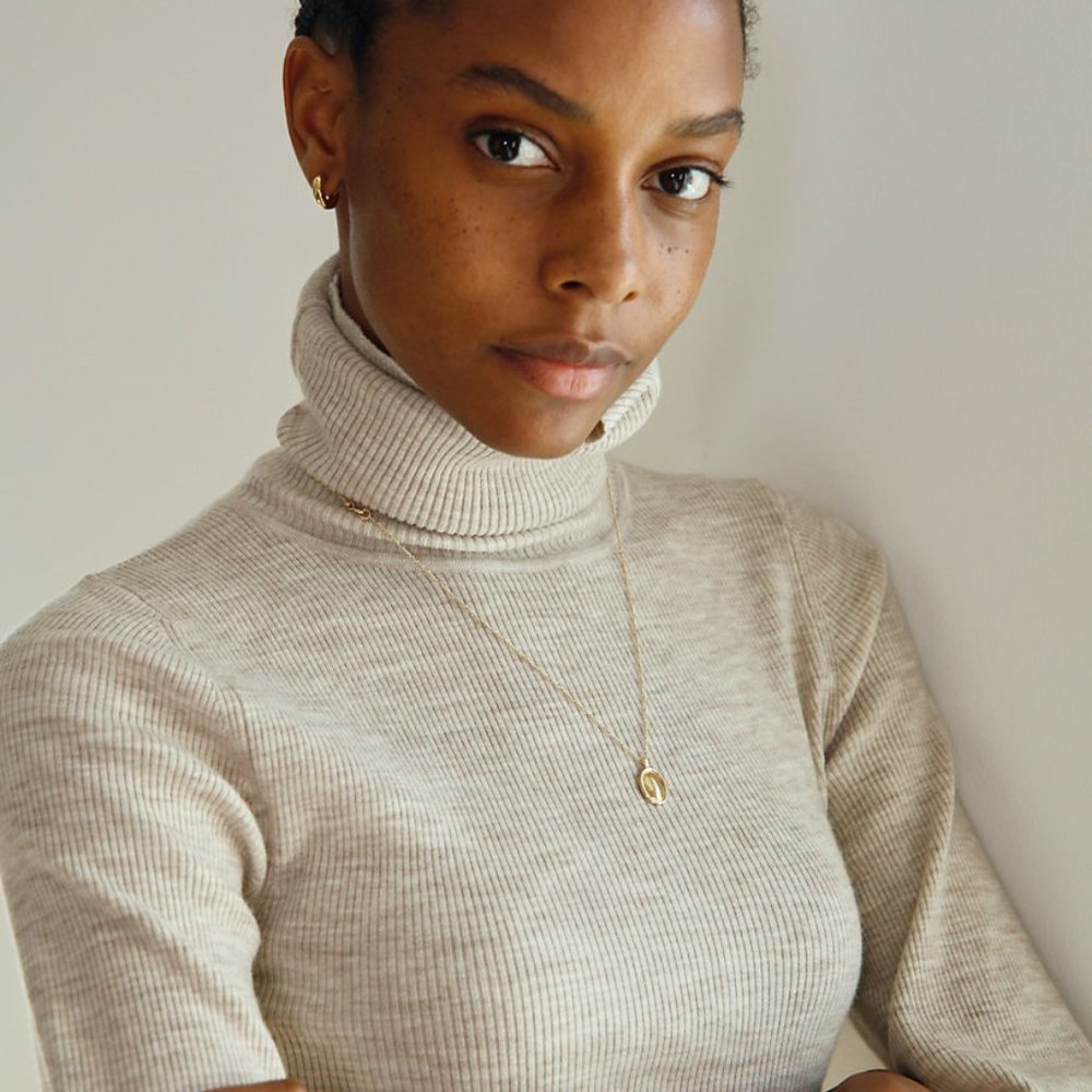 Wilfred positano turtleneck